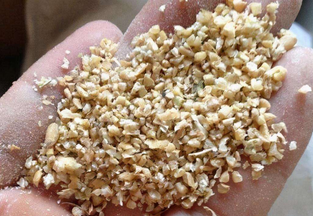 精釀<a href=http://m.yangbailao.com/ target=_blank class=infotextkey>啤酒設備</a>,啤酒廠設備,開辦啤酒廠,麥芽粉碎