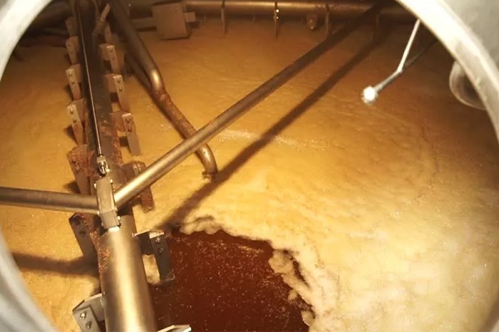 精釀啤酒廠有哪些節水策略？