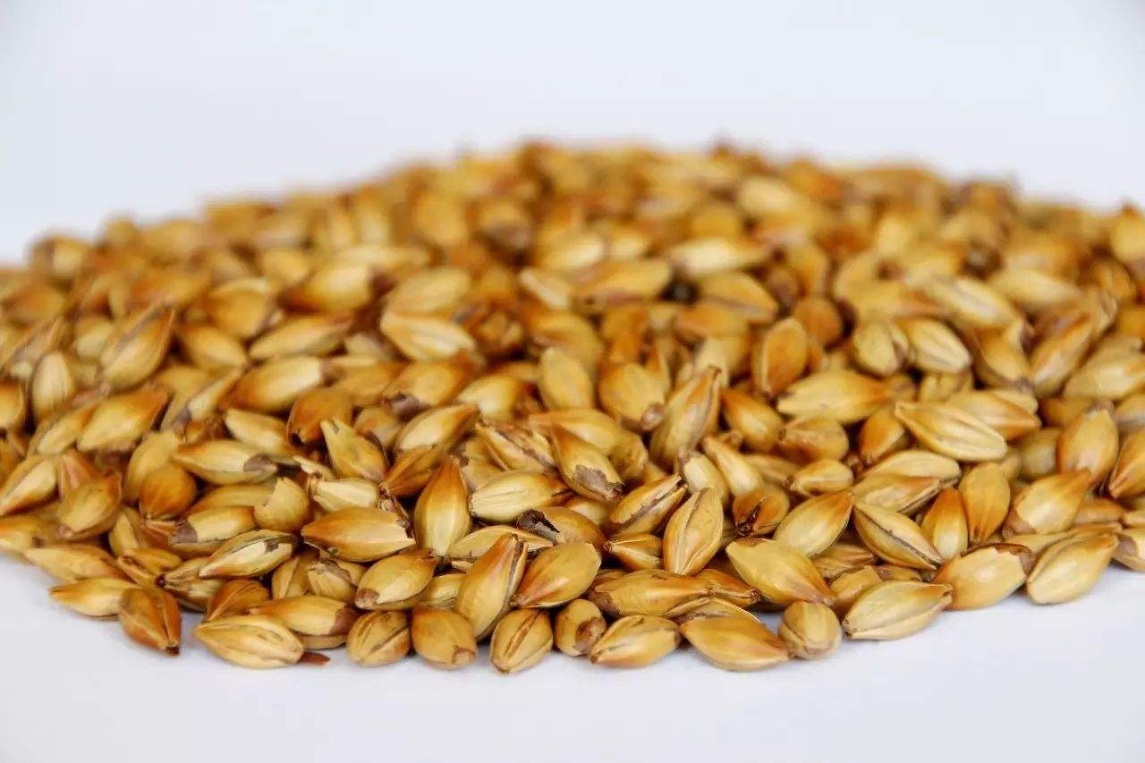 做精釀啤酒，如何選擇合適的粉碎機？