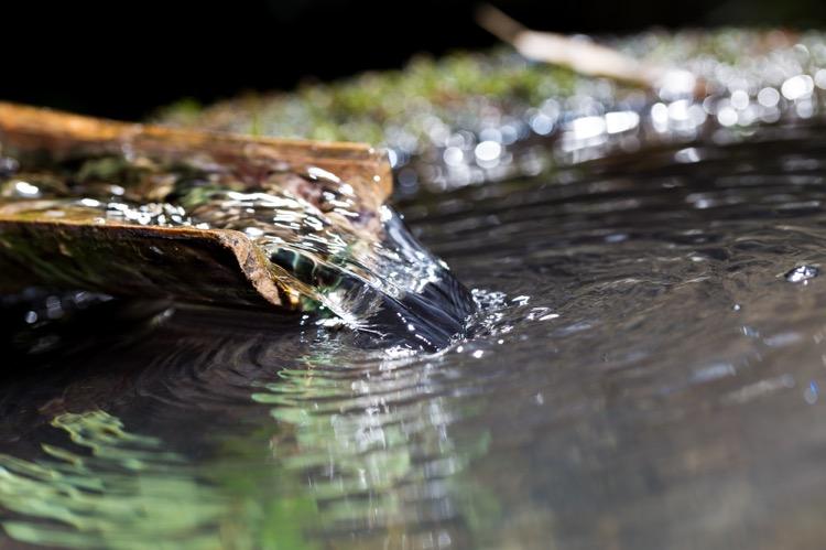 精釀<a href=http://m.yangbailao.com/ target=_blank class=infotextkey>啤酒設備</a>,啤酒廠設備,開辦啤酒廠,釀造用水