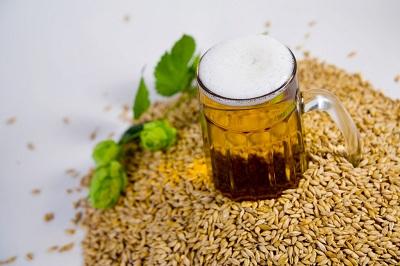 精釀<a href=http://m.yangbailao.com/ target=_blank class=infotextkey>啤酒設備</a>,啤酒廠設備,開辦啤酒廠，大麥