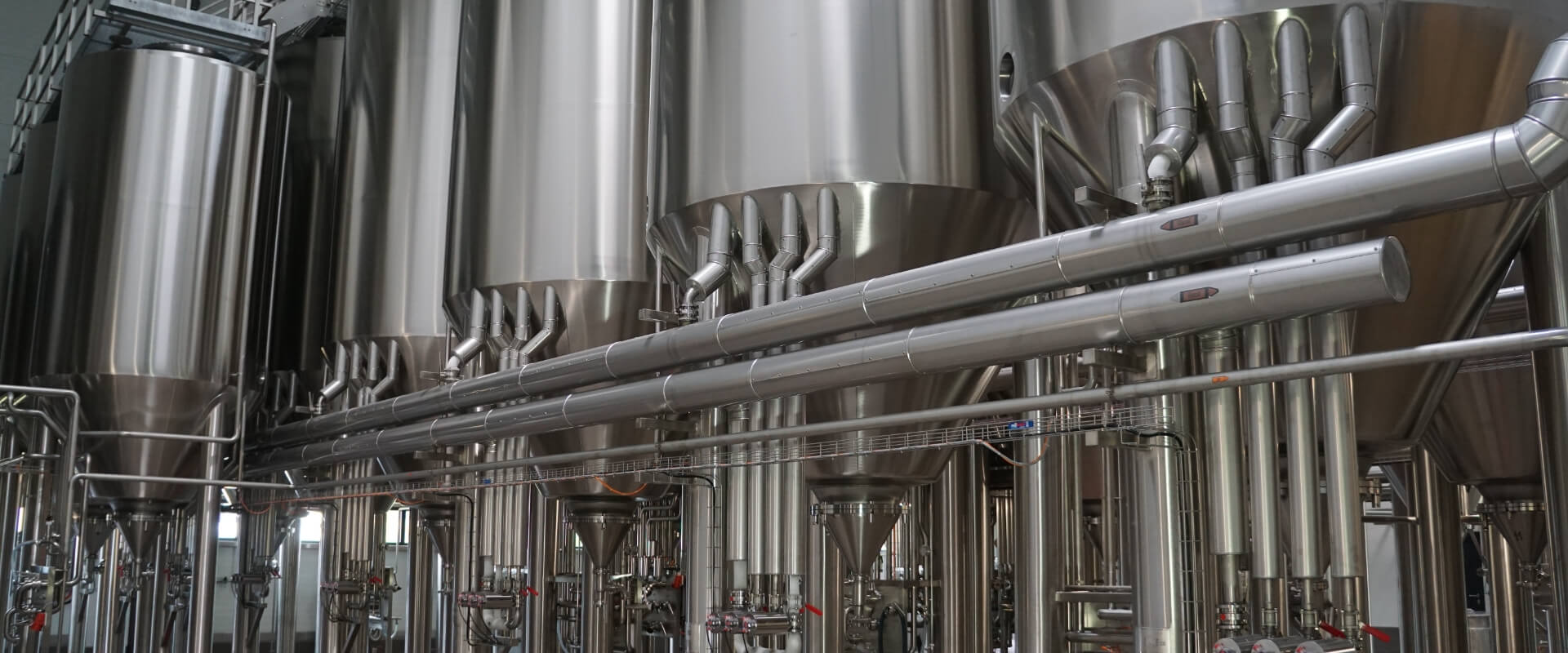 主發酵的工藝要點是什么？