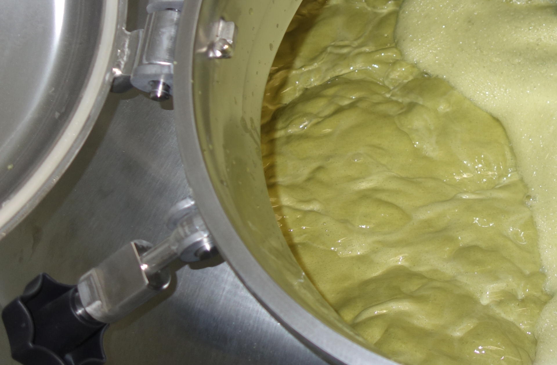 為什么要煮沸麥汁？