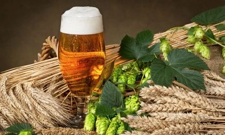 精釀<a href=http://m.yangbailao.com/ target=_blank class=infotextkey>啤酒設備</a>,啤酒廠設備,開辦啤酒廠，浸麥